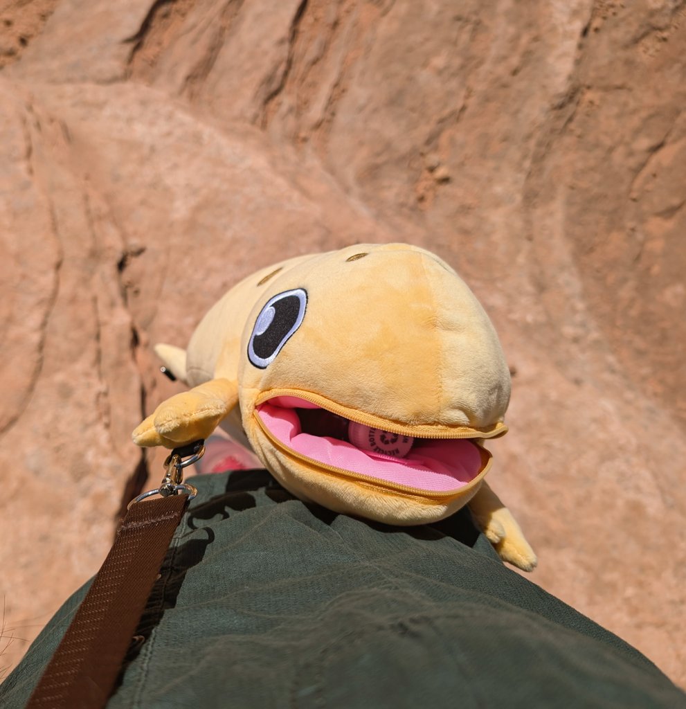 Official_Derptiles tweet media