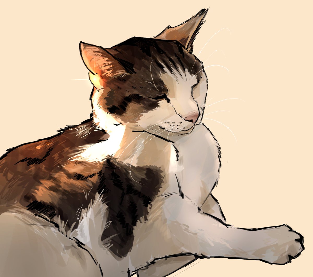 Pet portrait commission for @250hcneysuckle of their lovely cat Leentje. Thank you ❤️

#illustration