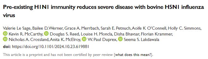 I know folks want to focus on the Nature preprint showing bovine #H5N1 is lethal in ferrets 😔     

But you should also consider the bioRxiv preprint showing that pre-existing H1N1 immunity ***reduces severity*** with bovine H5N1 in ferrets 😀