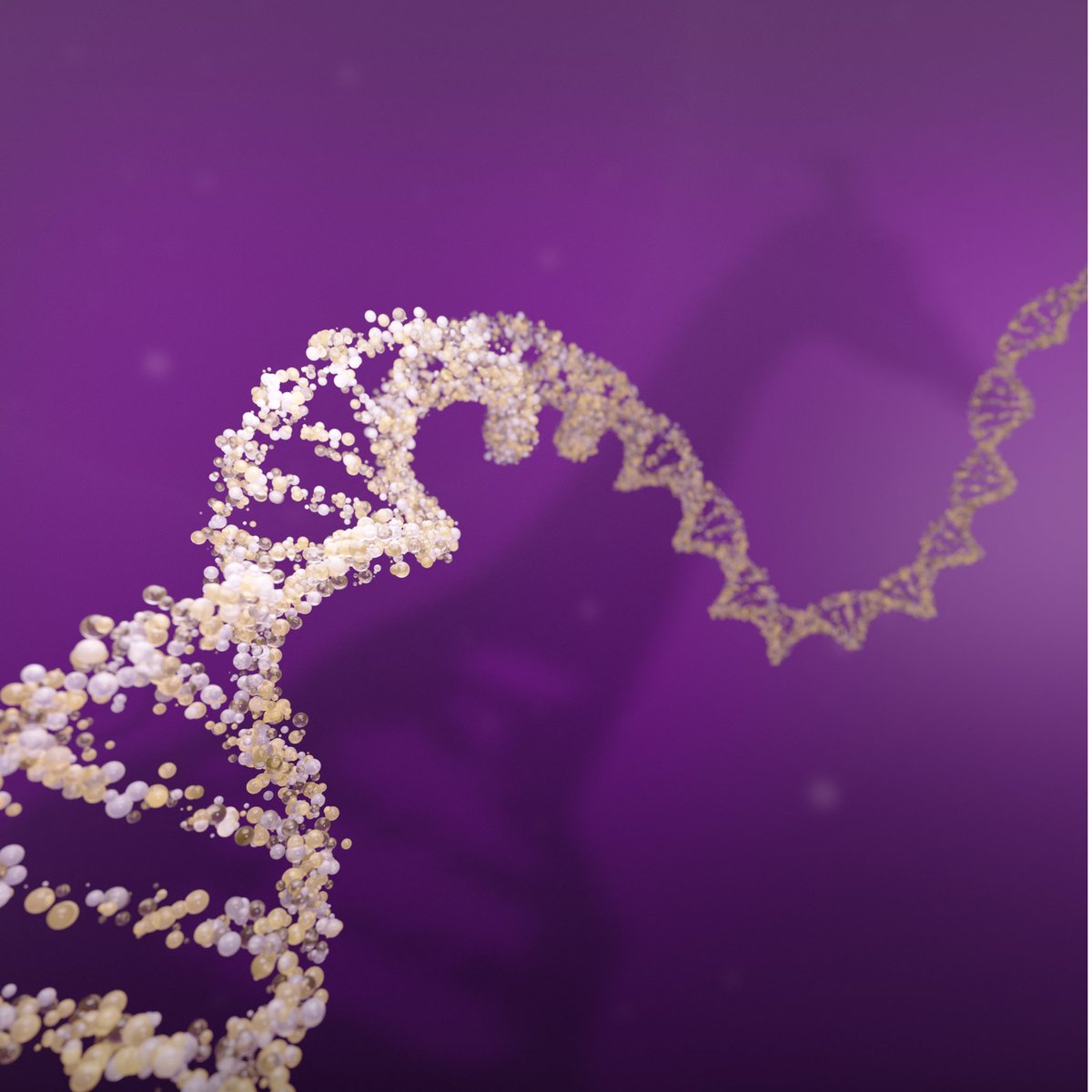 mehrzadsamadi's tweet photo. Exciting news COMING SOON! 🚀 🦒 Get ready for the Parabricks v4.4 release—bringing even faster, smarter genomic analysis. #Genomics #AI #Parabricks https://t.co/lj7bq0Aj0o