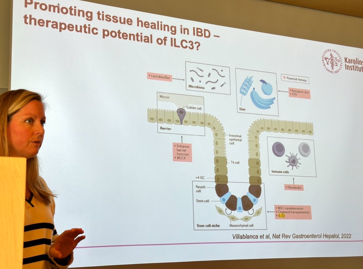 ejvillablanca's tweet photo. Today was the last day of the mucosal immunology course for PhD students, 4th edition!

The course is co-organized with @WillingerLab  and we had amazing teachers, including @williamagace , @angelettilab , @MjosbergL , @SrustidharD , @EvaSverremark , @consiglio_cr and others! 

The students were outstanding- lot of great questions and engaging discussions!! 

Looking forward to organizing the 5th edition!