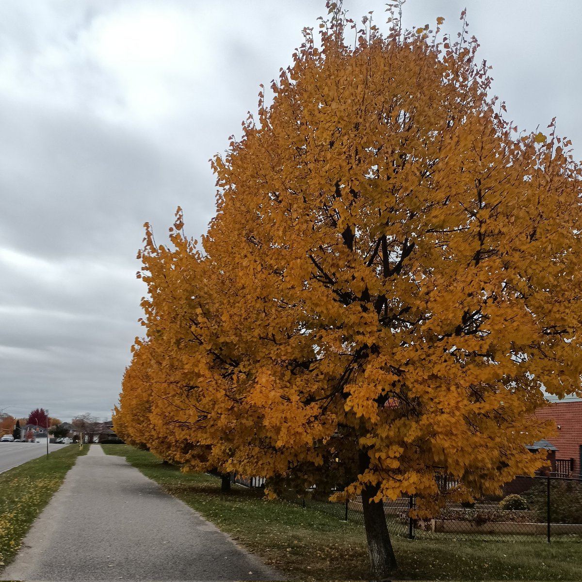 微尘-Fine dust tweet media