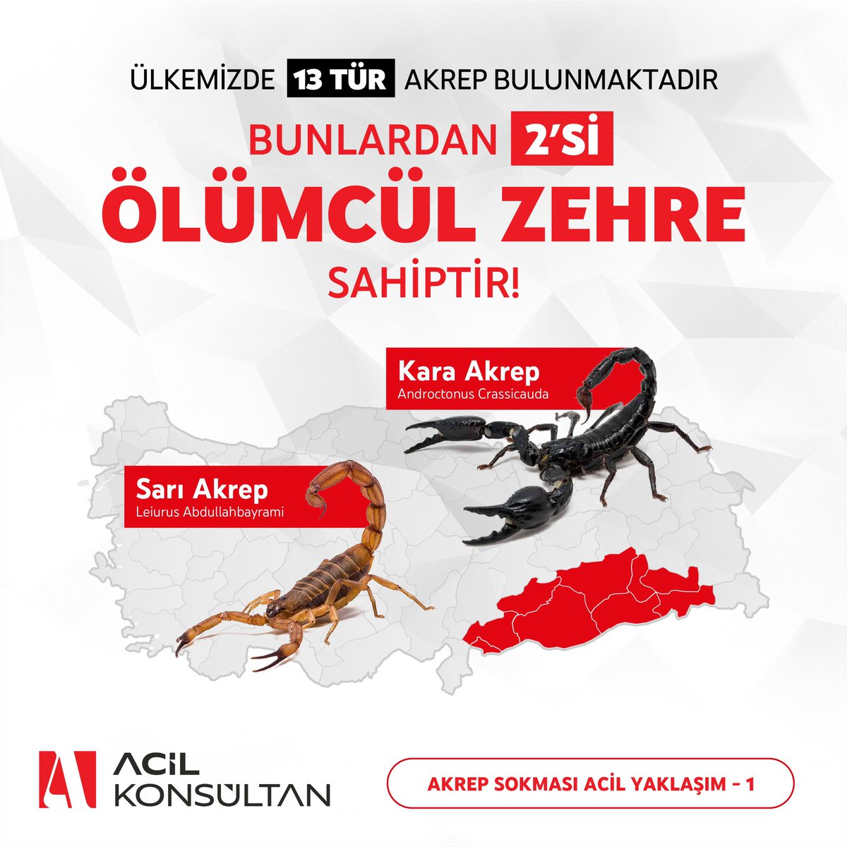 Acil Konsültan tweet media