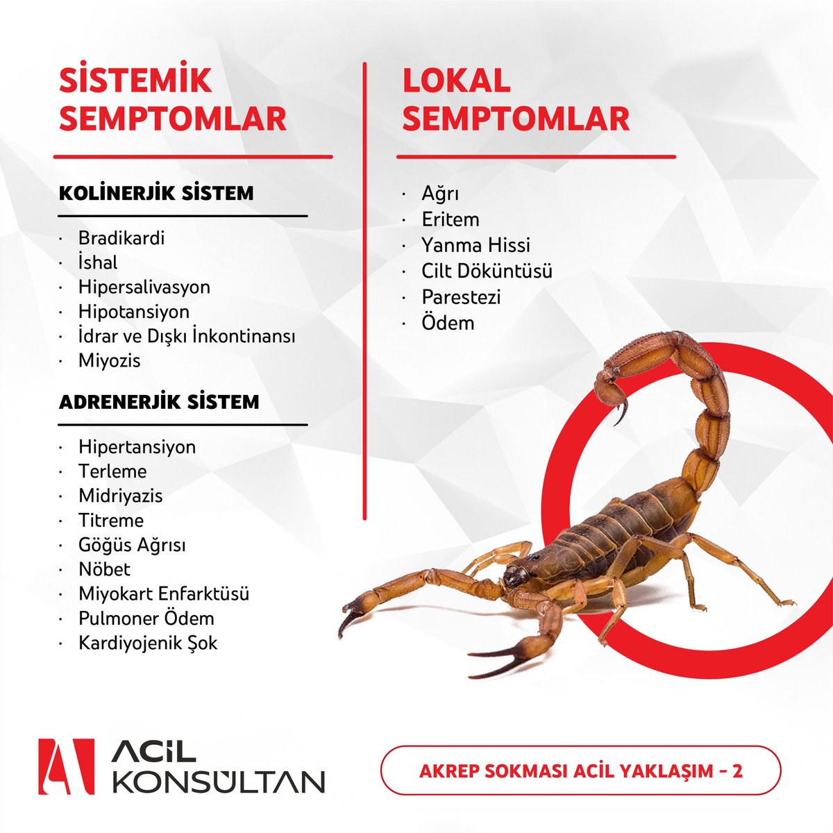 Acil Konsültan tweet media