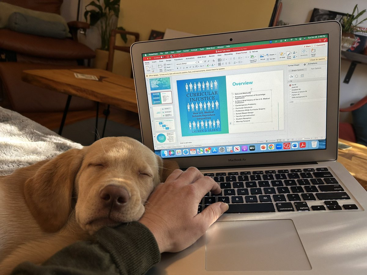 Book talk behind the scenes — thanks to Chester’s feedback I willllllll be sprucing things up and making it a little more exciting. Perhaps will add some treats