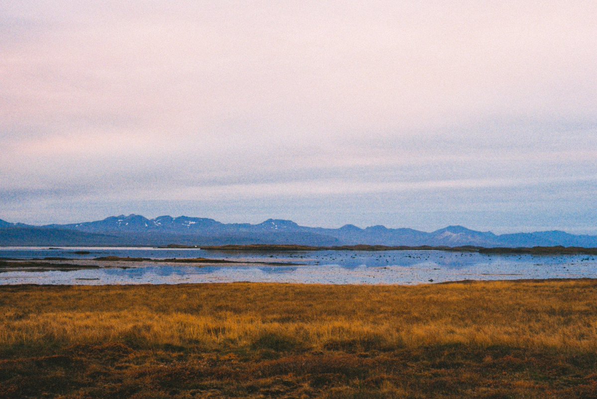 29-Horizon #31themesAnalogChallenge