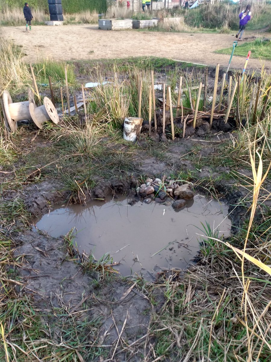 Pupils <a href="/FrogstonPS/">FrogstonPS</a> <a href="/FrogstonFarm/">Frogston Farm to Fork</a> connecting with #nature through 
picking litter, pond dipping, creating a wildlife hedge between the play and nature pond #EnvironmentalEducation #outdoorlearning #environmentalstewardship <a href="/EdinburghLfS/">EdinburghLfS</a> <a href="/EdScotLfS/">EdScot LfS</a> <a href="/LfSScotland/">Learning for Sustainability Scotland</a> <a href="/EdOutdoorLearn/">Outdoor Learning Edinburgh</a>