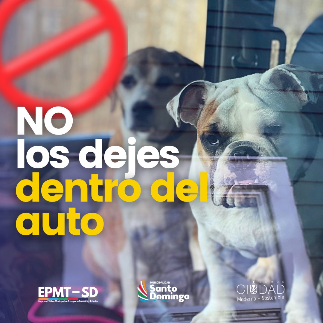 EPMTransporte's tweet photo. https://t.co/N9pnZRNGRu