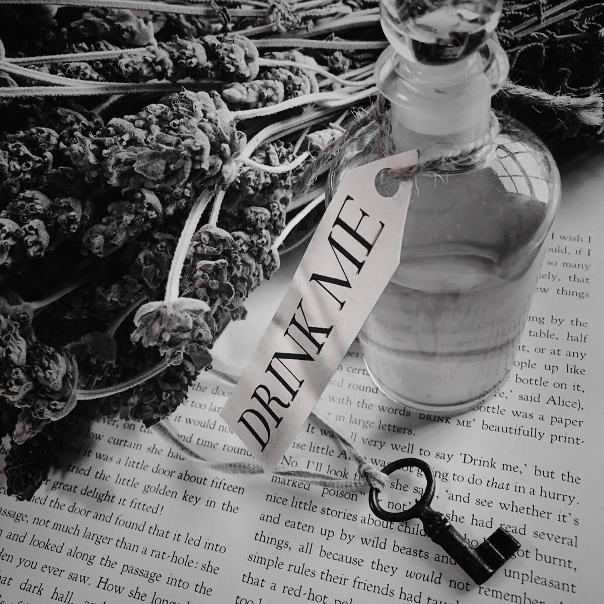 ㅤㅤㅤㅤ 

ㅤㅤㅤㅤ ゝ 𝓐𝐥𝐢𝐜𝐞 ╱ Alicia en el país
                                       de la maravillas ☼ 

ㅤㅤㅤㅤ