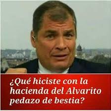 MnicaArosemena1's tweet photo. CORREA INCAUTÓ LA CLEMENTINA, LA HACIENDA BANANERA MÁS GRANDE DEL ECUADOR, QUE EXPORTABA BANANO Y GENERABA EMPLEO. MÁS DE 5 MIL FAMILIAS DE FORMA DIRECTA SE QUEDARON SIN EMPLEO Y LA CONVIRTIÓ EN PISTA NARCO. NO HAY DERECHO https://t.co/CXKihqVpRs