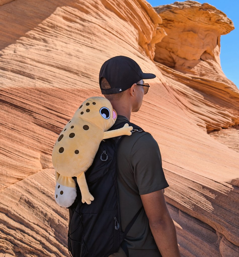 Official_Derptiles tweet media