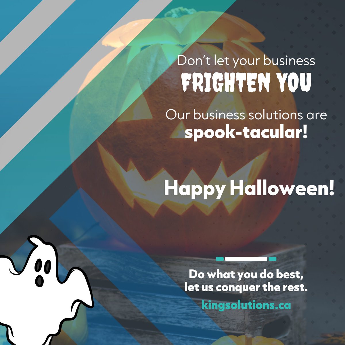 King Business Solutions tweet media