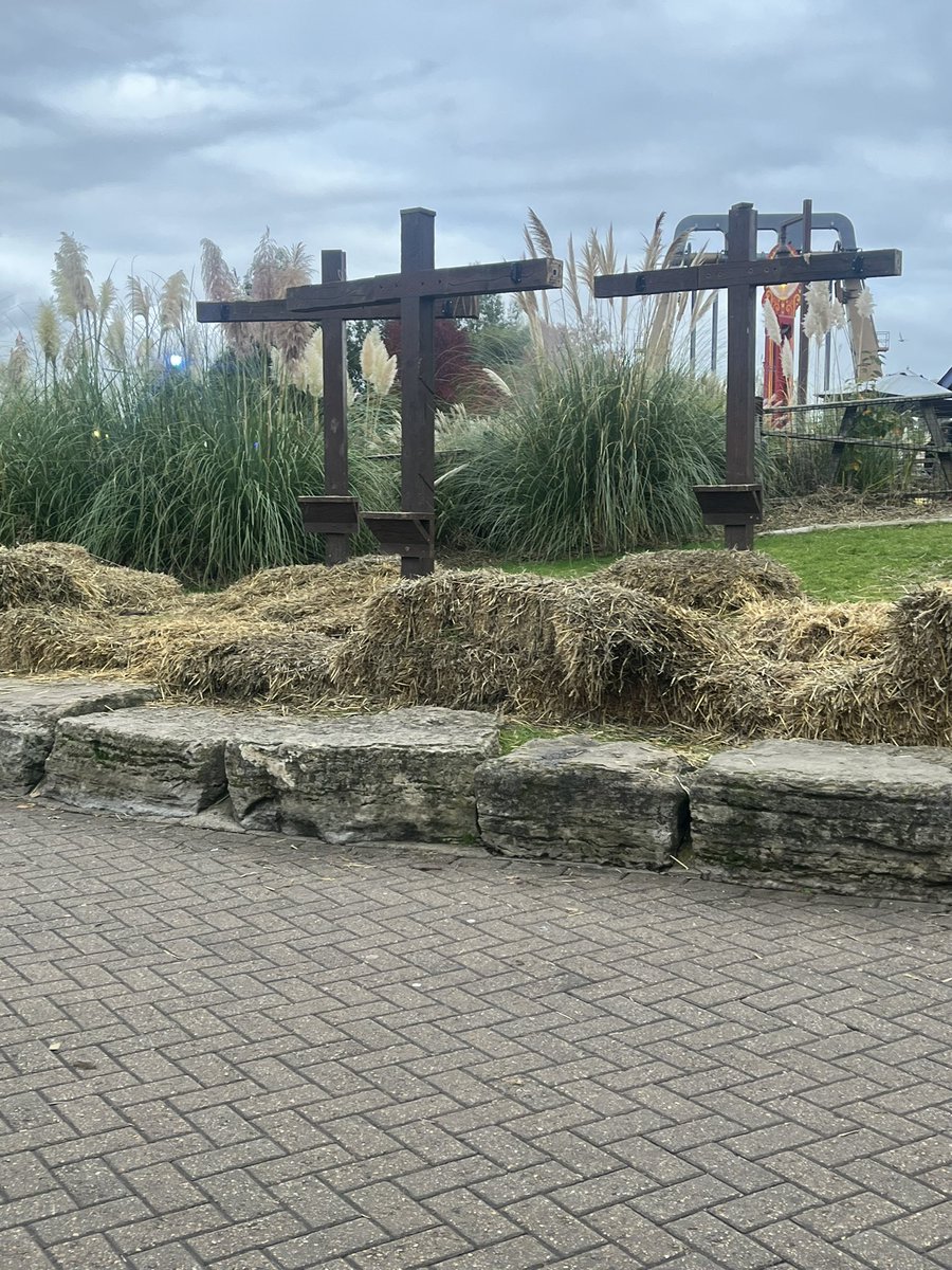 Sarah Marshall tweet media