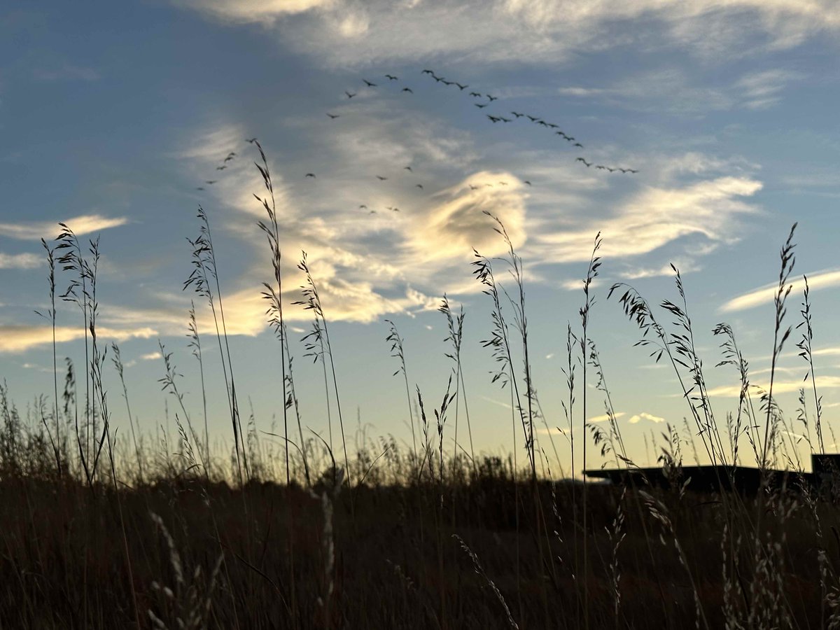 A new publication is now out! Learn more about a data-driven approach to co-producing drought vulnerability assessments.

nccasc.colorado.edu/news/new-publi…

#climate #climatetwitter #drought #publication