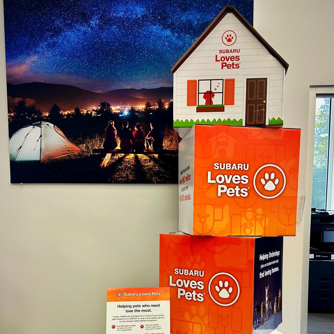 Circle Subaru tweet media