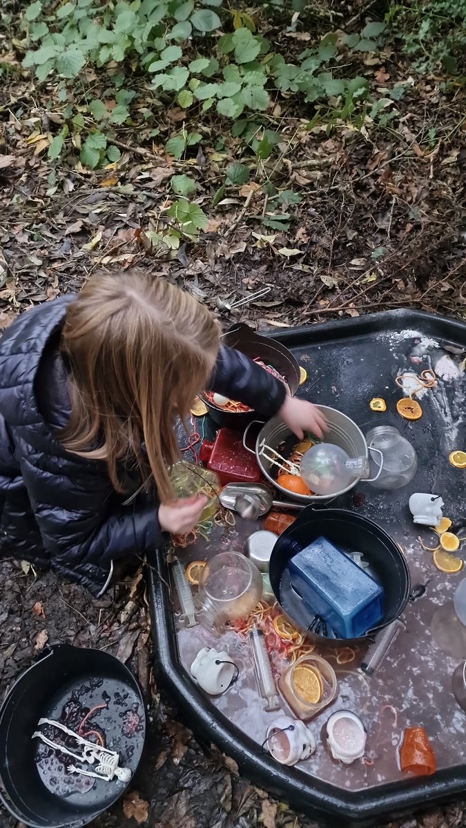 Wild Bears Forest School CIC tweet media