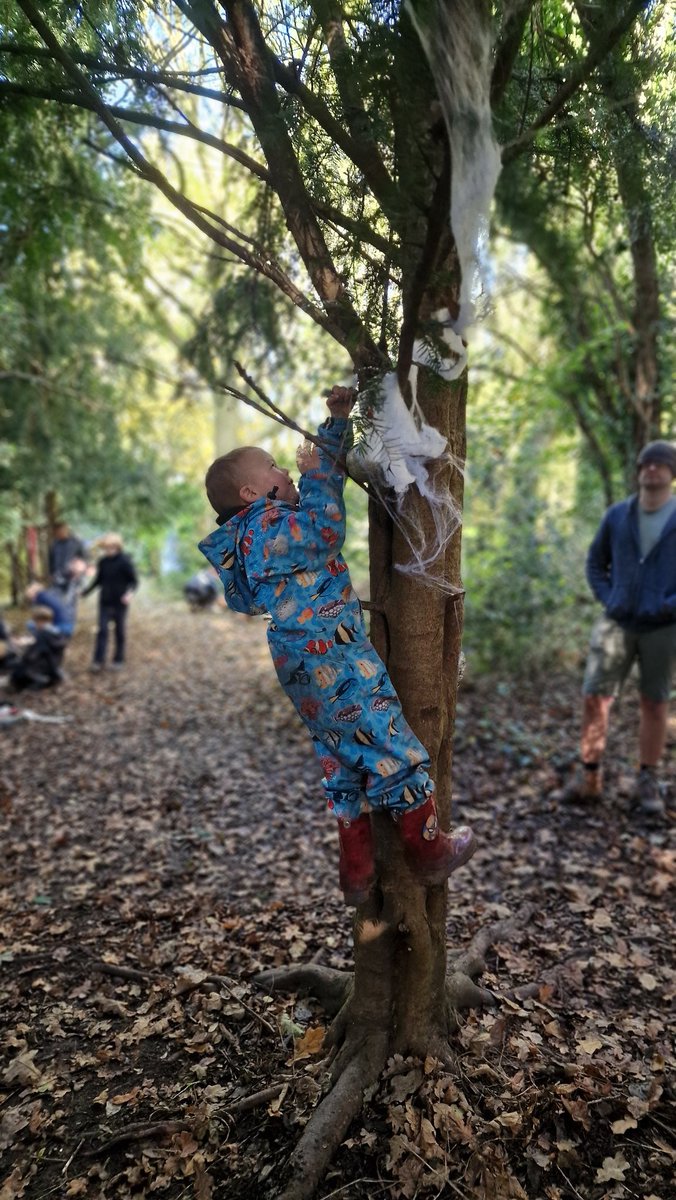 Wild Bears Forest School CIC tweet media
