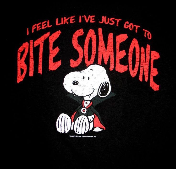 DailySnoopys's tweet photo. https://t.co/xtvGsvC3IC