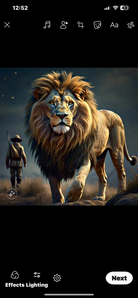 They say until the lion tells its story, the hunter will always be the hero.

Lions tell your story when you can. We care, we’re listening and we are here for you.