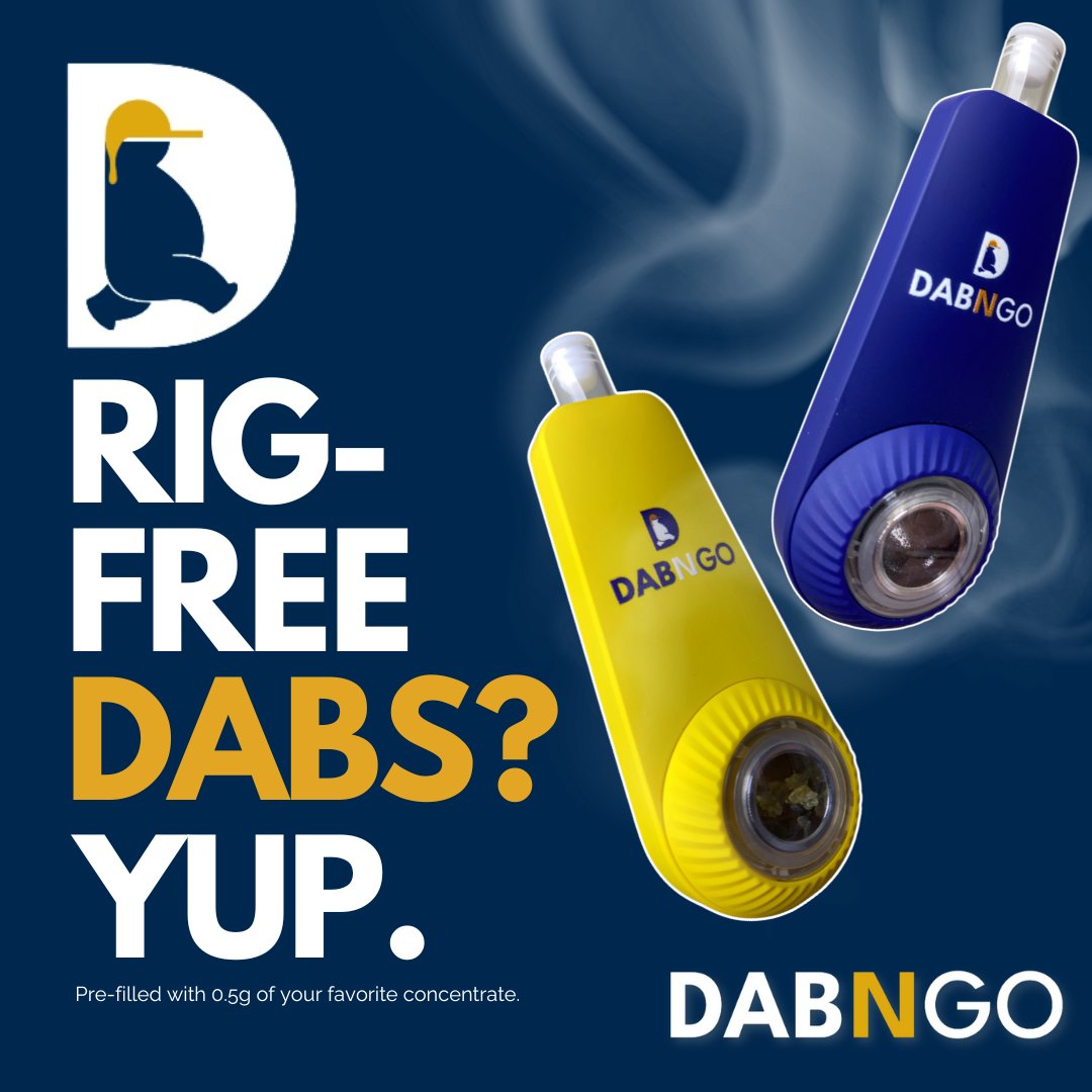 Dab Bods tweet media