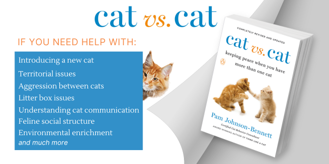 ThinkLikeaCat's tweet photo. Do you share your home with more than one cat, or are you thinking about adding another cat to the family?
https://t.co/r27HGBESa1
#cats #catvscat #MultiCatHousehold https://t.co/cuO3B1kdNU