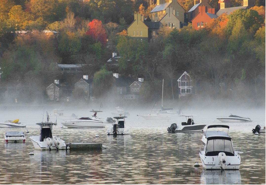 SRoss75years's tweet image. Cold Spring Harbor, NY
#coldspringharbor #longisland