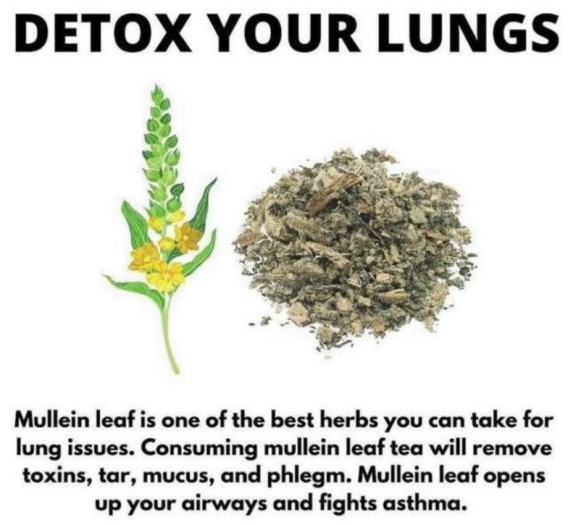 FredsFarm247's tweet photo. Detox your lungs👇🏽 https://t.co/5pigmtut92