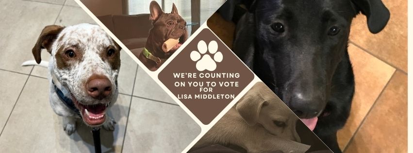 Lisa Middleton tweet media