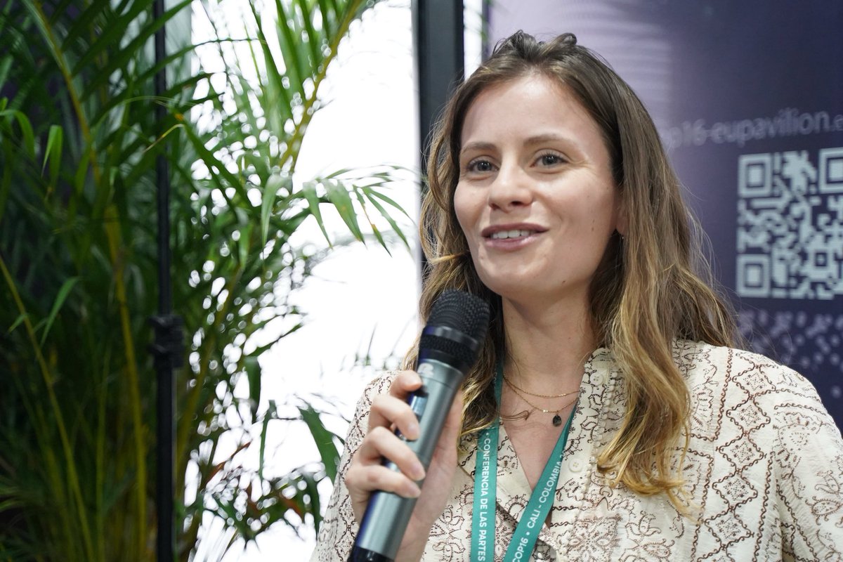 Post-2020 Biodiversity Framework . EU Support tweet media