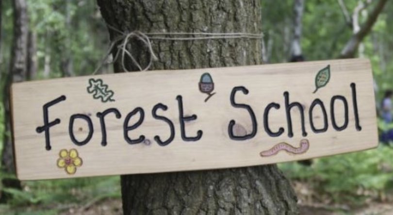 Kate Tasker ๐ (@nursektasker) on Twitter photo ๐ฃ๏ธ Does anyone know of any CAMHS teams or neurodivergent groups for 13-18 year olds that have a forest school as part of its service ? Iโd love to get in touch to gather some ideas ๐โ๏ธ๐๐๐
Please retweet, share and get in touch ๐๐ป <a href="/CAMHSNetwork/">โญ๏ธโจ๐CAMHS Network๐โจโญ๏ธ</a>
#CAMHS #ForestSchool #OT ๐ฃ๏ธ Does anyone know of any CAMHS teams or neurodivergent groups for 13-18 year olds that have a forest school as part of its service ? Iโd love to get in touch to gather some ideas ๐โ๏ธ๐๐๐
Please retweet, share and get in touch ๐๐ป <a href="/CAMHSNetwork/">โญ๏ธโจ๐CAMHS Network๐โจโญ๏ธ</a>
#CAMHS #ForestSchool #OT