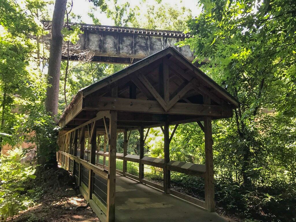 Kathleen Walls tweet media