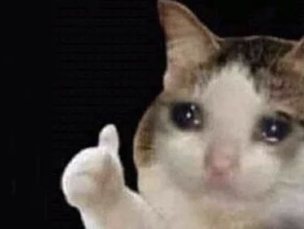 As an expression of our gratitude to the community, we have compiled a list of those outstanding reviewers who helped BMVC to become a reality❤️. The list can be found here: bmvc2024.org/people/reviewe…