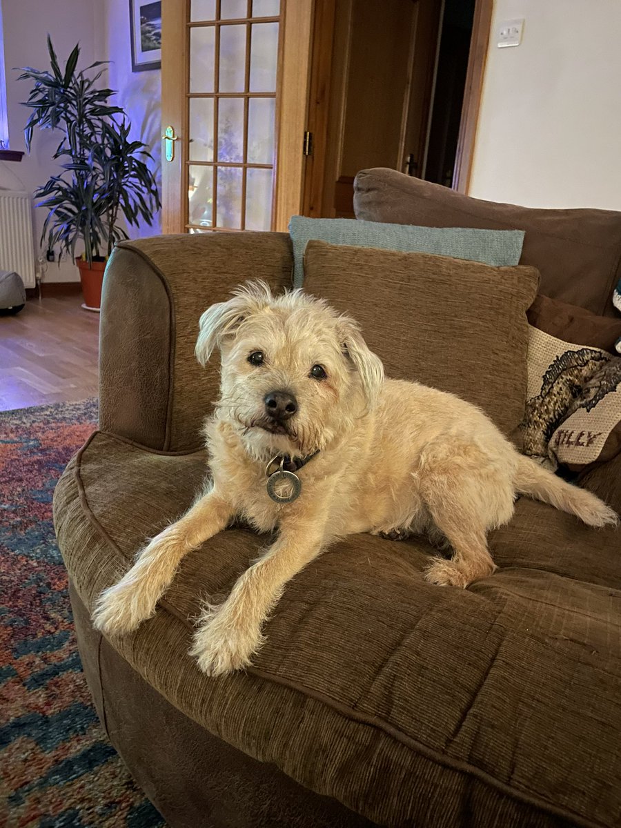 Adele and Rex (former staff to Monty🌈& Jilly🌈) tweet media