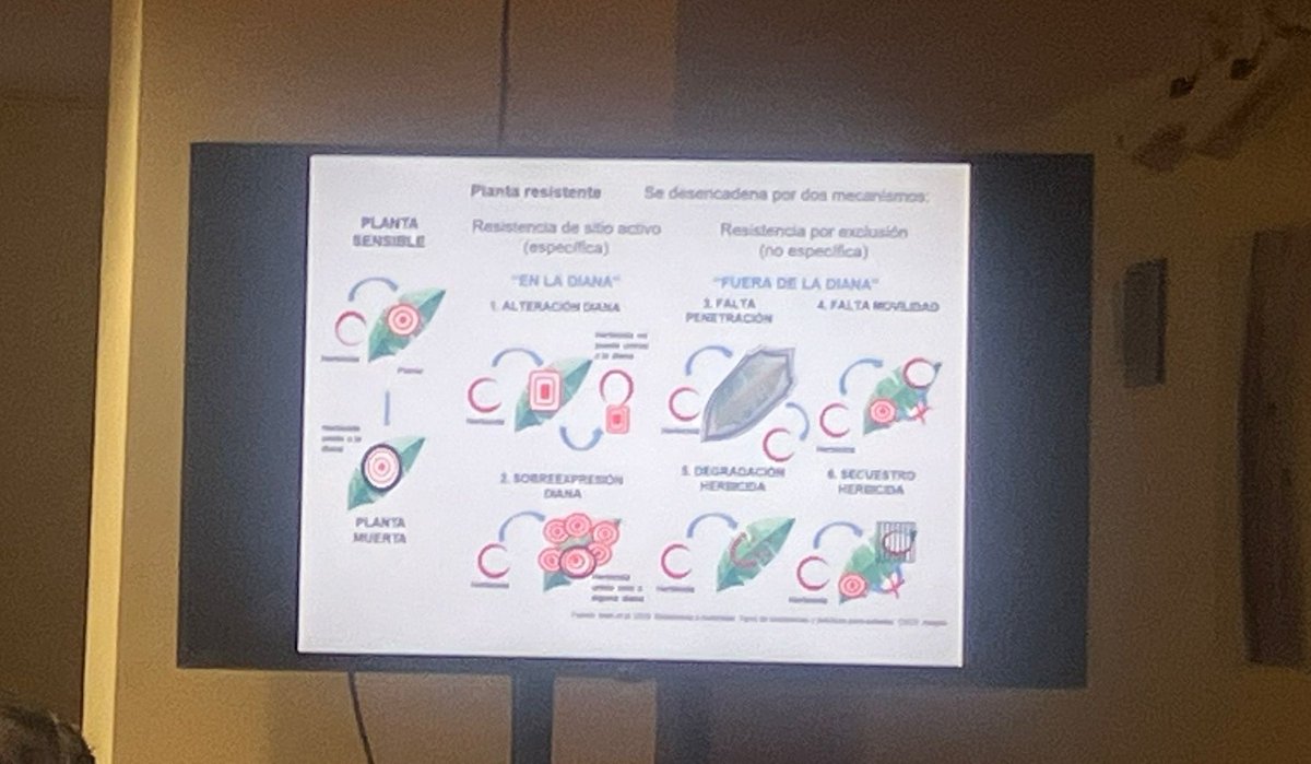 Explicación ante agricultores de #Caspe sobre cómo funcionan las resistencias de las malas hierbas frente a los herbicidas <a href="/CITAAragon/">CITA Aragón</a> #ExpoCaspe  <a href="/UAGA_COAG/">UAGA-COAG Aragón</a>
#malherbología
