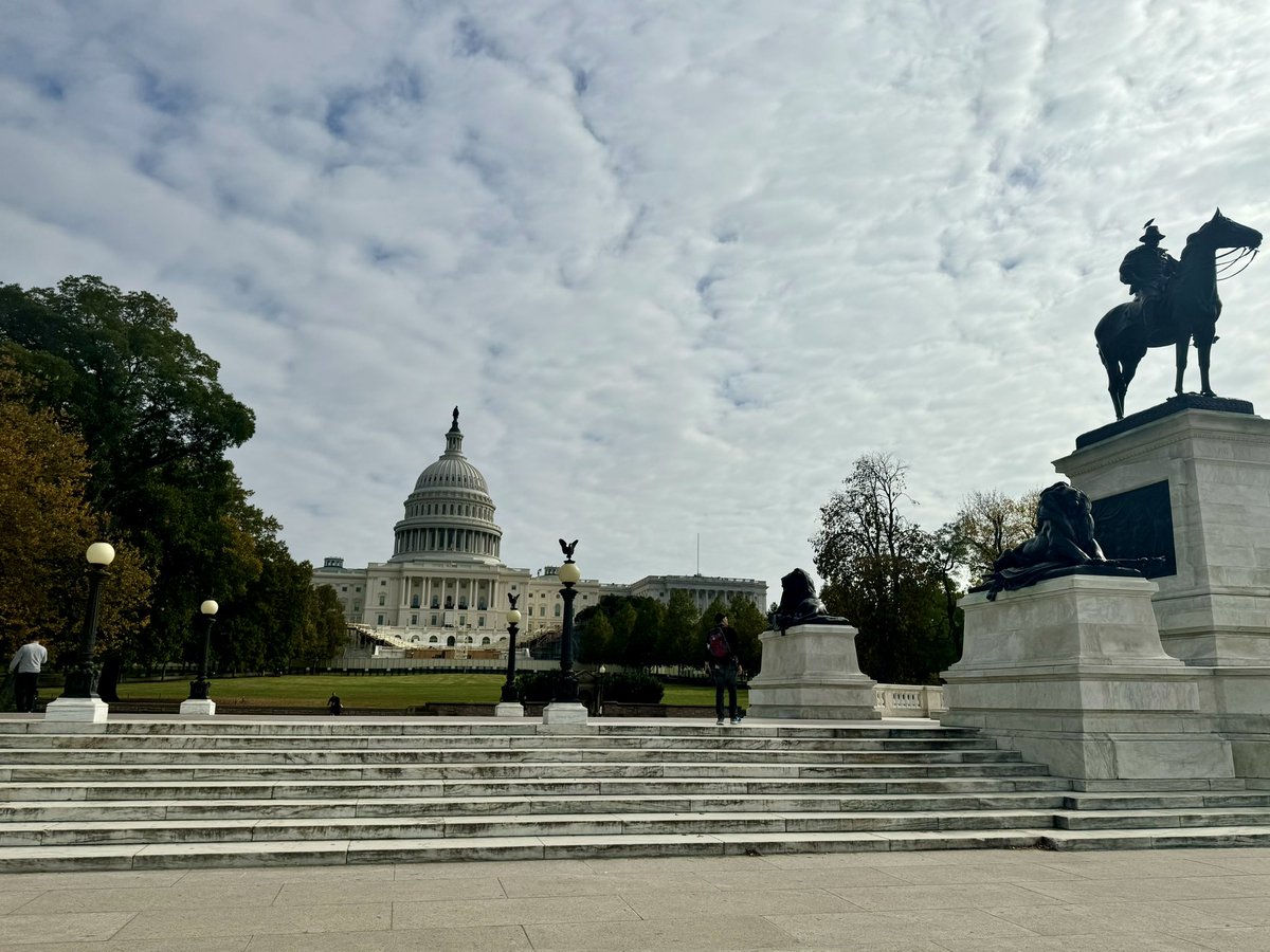 renaemryan1's tweet image. Unusually quiet at the Mall in DC today. The calm before the storm? Reminiscing with @Chris_mulligan