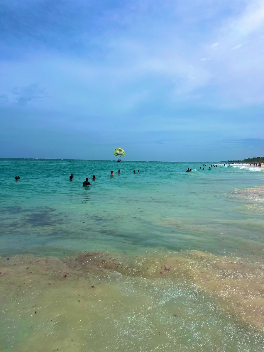 yoRooo's tweet image. 🏝️