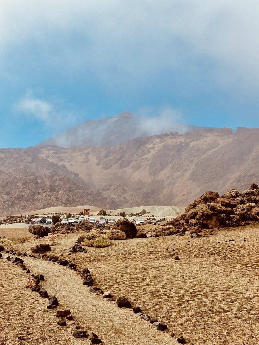 malkodiris.eth🥊 tweet media