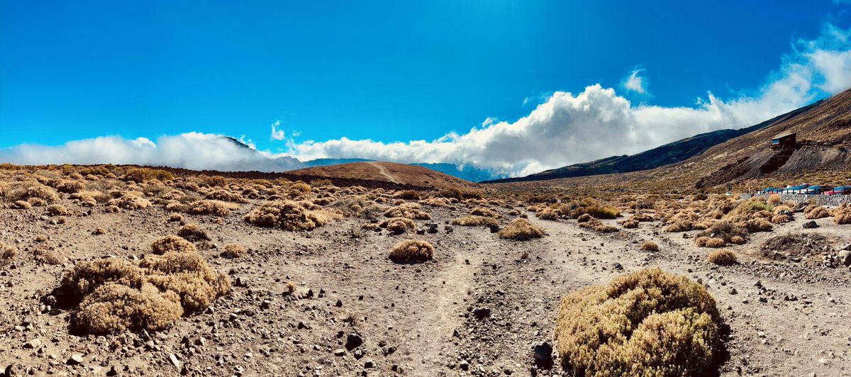 malkodiris.eth🥊 tweet media