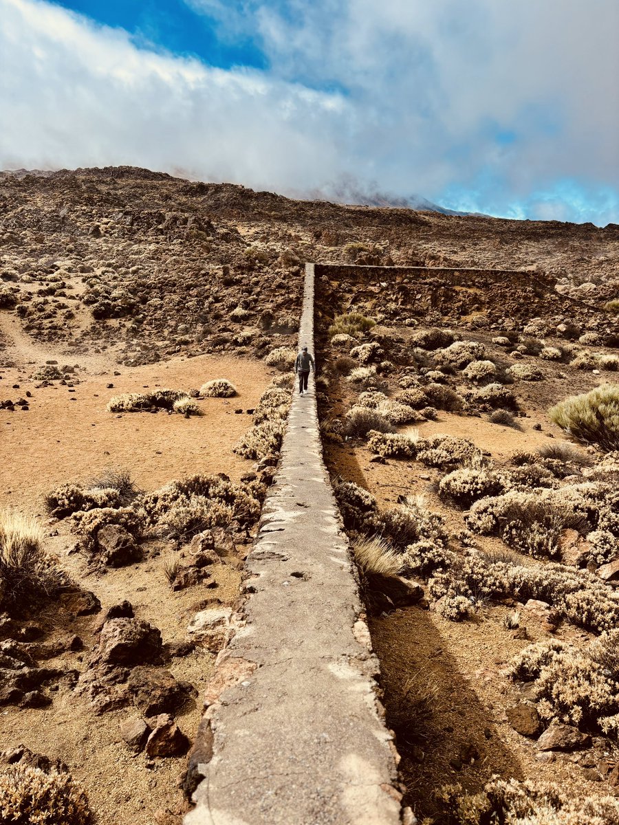 malkodiris.eth🥊 tweet media