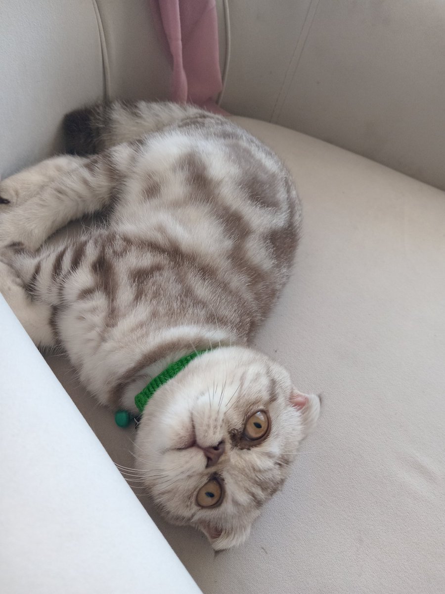 Hastayım şunun gerçek bakışlarına nasıl benim minik tatlım