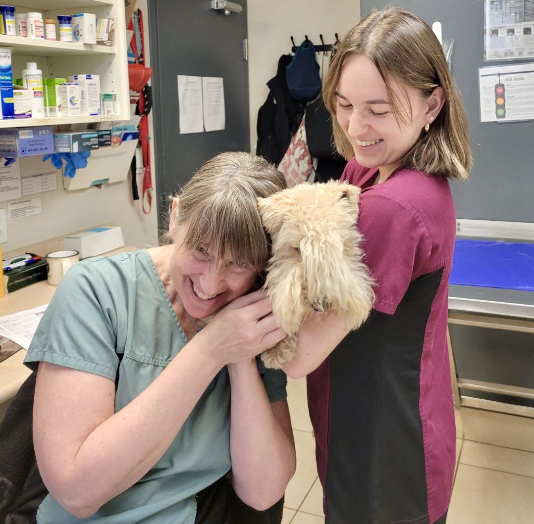 Hair Twins! Dr. Amina &amp; Lakeland terrier Daphne are rocking the same bangs! 😂❤️ #roncy #roncesvalles #highpark
