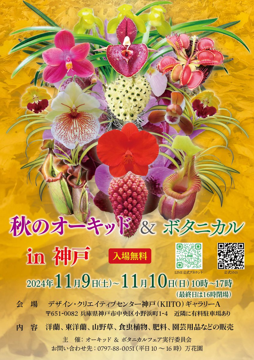 manka_en's tweet photo. 【拡散希望】

オーキッド＆ボタニカルフェア2024 in 神戸

会期：11月9日（土）・10日（日）

会場：デザイン・クリエイティブセンター神戸（KIITO）

皆様のご来場をお待ちしております。

リツイートでイベント告知にご協力ください。
よろしくお願いします。

#万花園
#オキボタ
#植物 https://t.co/PbPbTUMs6w