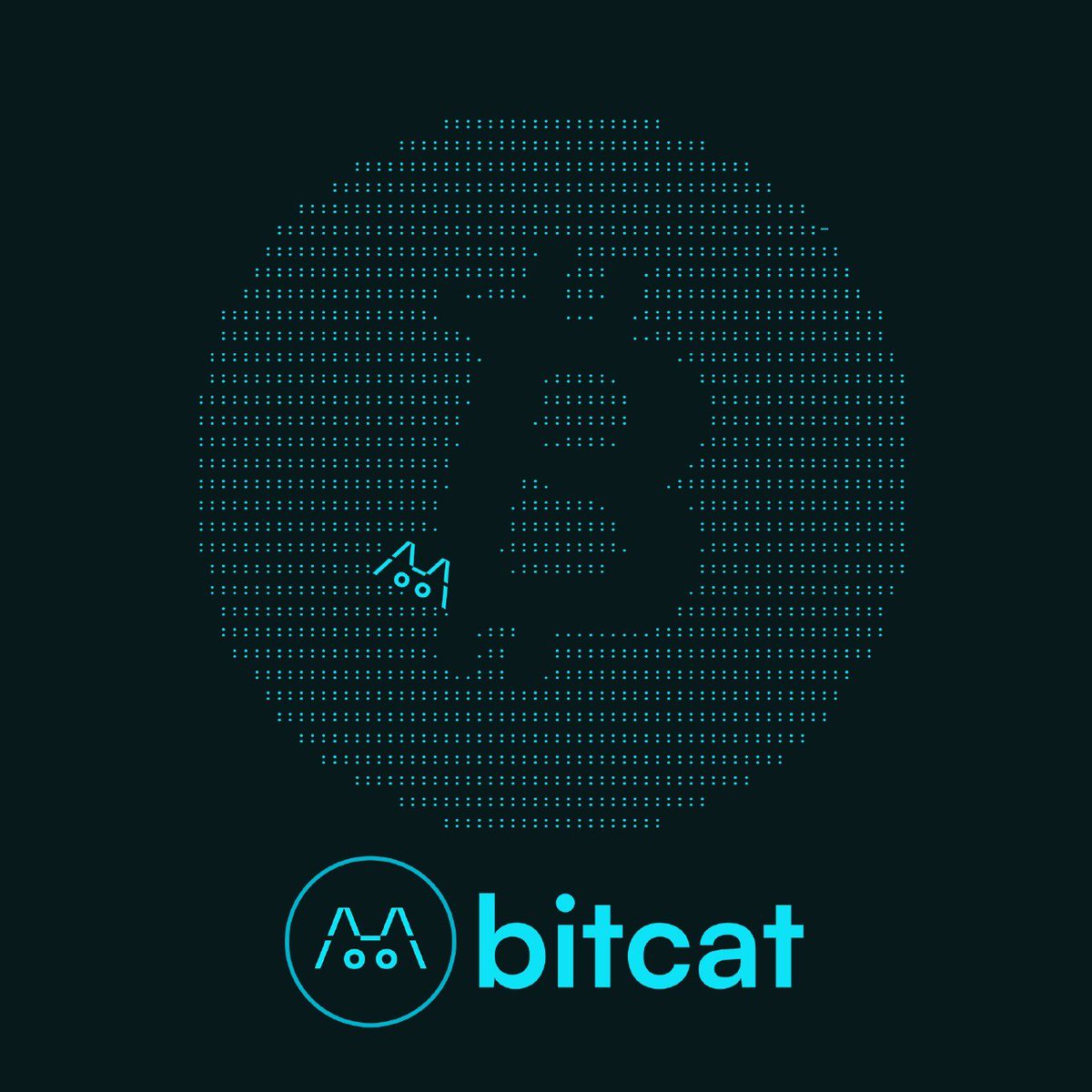 Once upon a block… In the heart of Bitcoin block 322,917, a legend was  born: Bitcat, the first cat on chain. 🐱 On September 28, 2014, a miner  inscribed Bitcat in ASCII