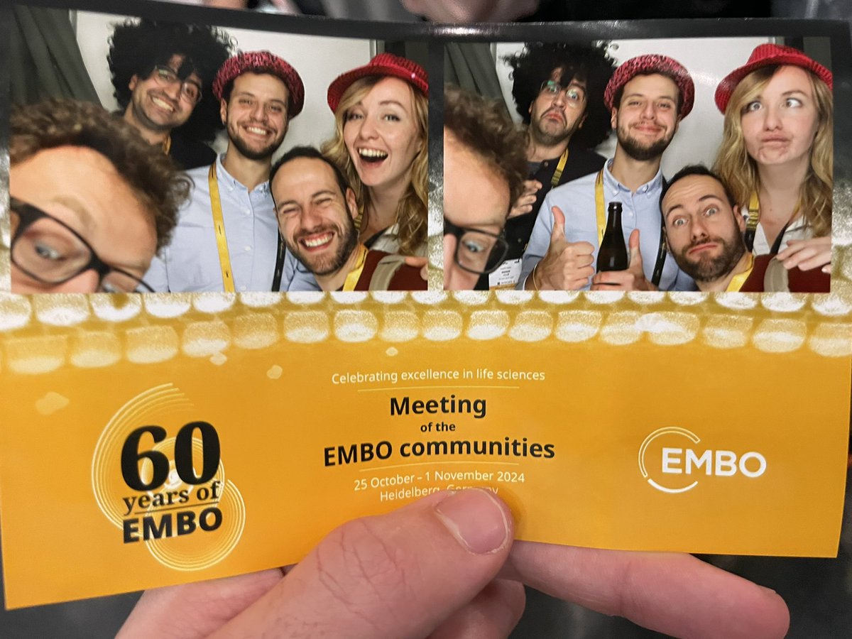 what an incredible 5 days of science and new and old friends! thank you so much <a href="/EMBO/">EMBO</a> <a href="/EMBOFellows/">EMBO Fellows</a> 💛 so happy to be part of your community!