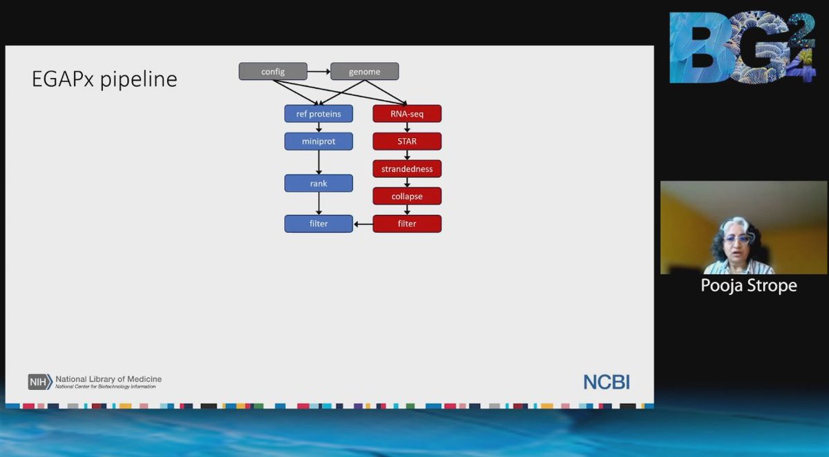 EBPgenome's tweet image. LIVE at #BG24 : Pooja Strope from @NLM_NIH says that currently there are 36K genomes but only 19% are annotated.

Let&apos;s start increasing annotation. Tune in to hear what tools and insight @NLM_NIH  has to help👩‍💼

#annotation #genomes #annotategenomes #genomeannotation #genomics…