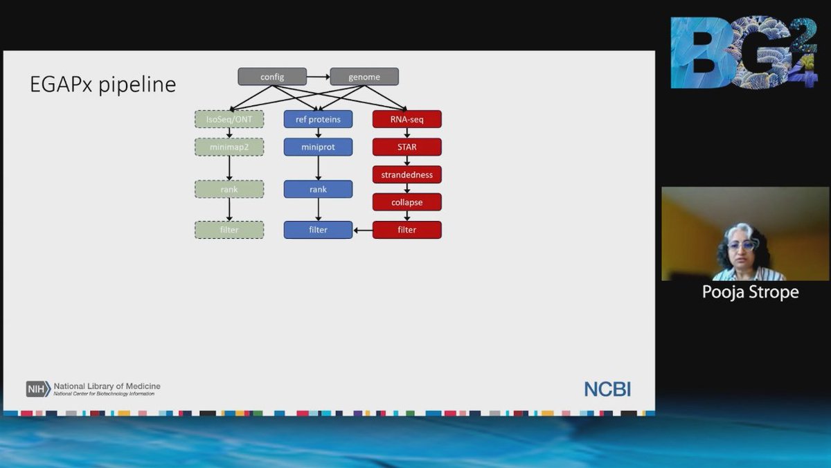 EBPgenome's tweet image. LIVE at #BG24 : Pooja Strope from @NLM_NIH says that currently there are 36K genomes but only 19% are annotated.

Let&apos;s start increasing annotation. Tune in to hear what tools and insight @NLM_NIH  has to help👩‍💼

#annotation #genomes #annotategenomes #genomeannotation #genomics…