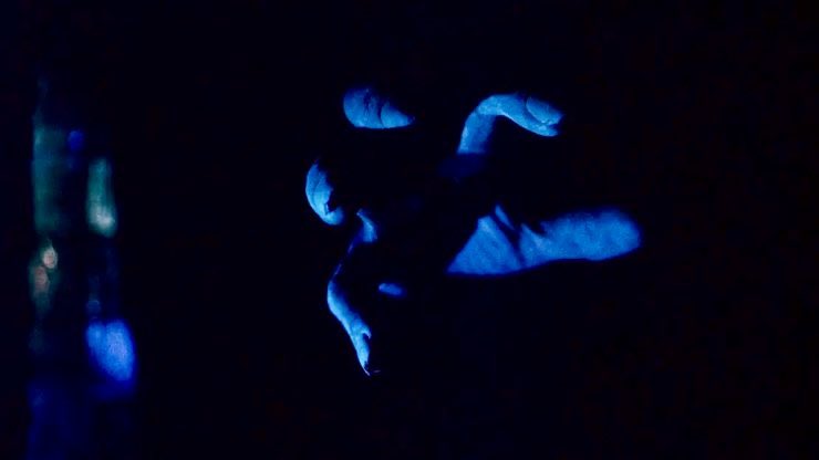 Silver_Cheek's tweet photo. The Whip and the Body (63) ⭐️⭐️⭐️ Trots att han är ovälkommen återvänder Kurt till familjen och blir mördad på natten. Han går igen. Ljuvlig klassisk gotisk skräck men också en underlig S/M-vinkel som inte lirar helt bra. #klugserfilm #bionithrin #horroctober #drakenfilm https://t.co/vBzQueCfbh