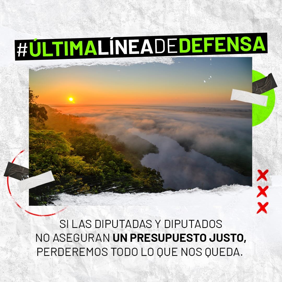 CDC Guatemala tweet media