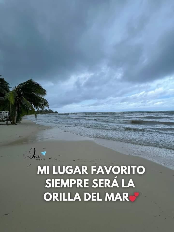gabyeli_vene's tweet photo. https://t.co/29aSBypAxJ