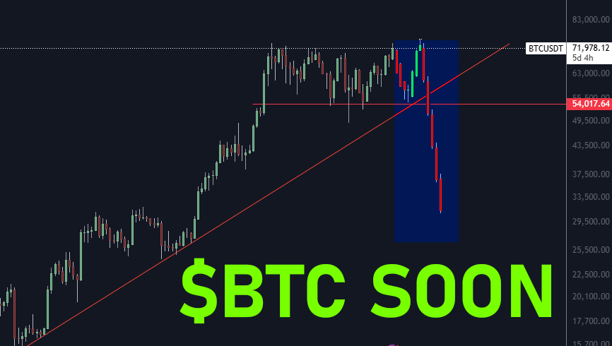 Spirit ✨ tweet media